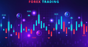Cara Mudah Daftar Forex Untuk Trader Baru Atau Pemula