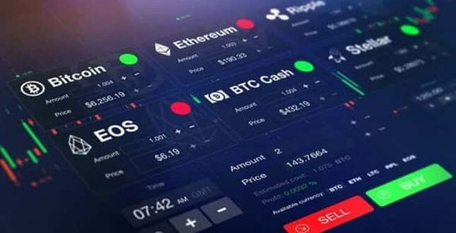 Platform Trading Crypto Terbaik Untuk Pemula